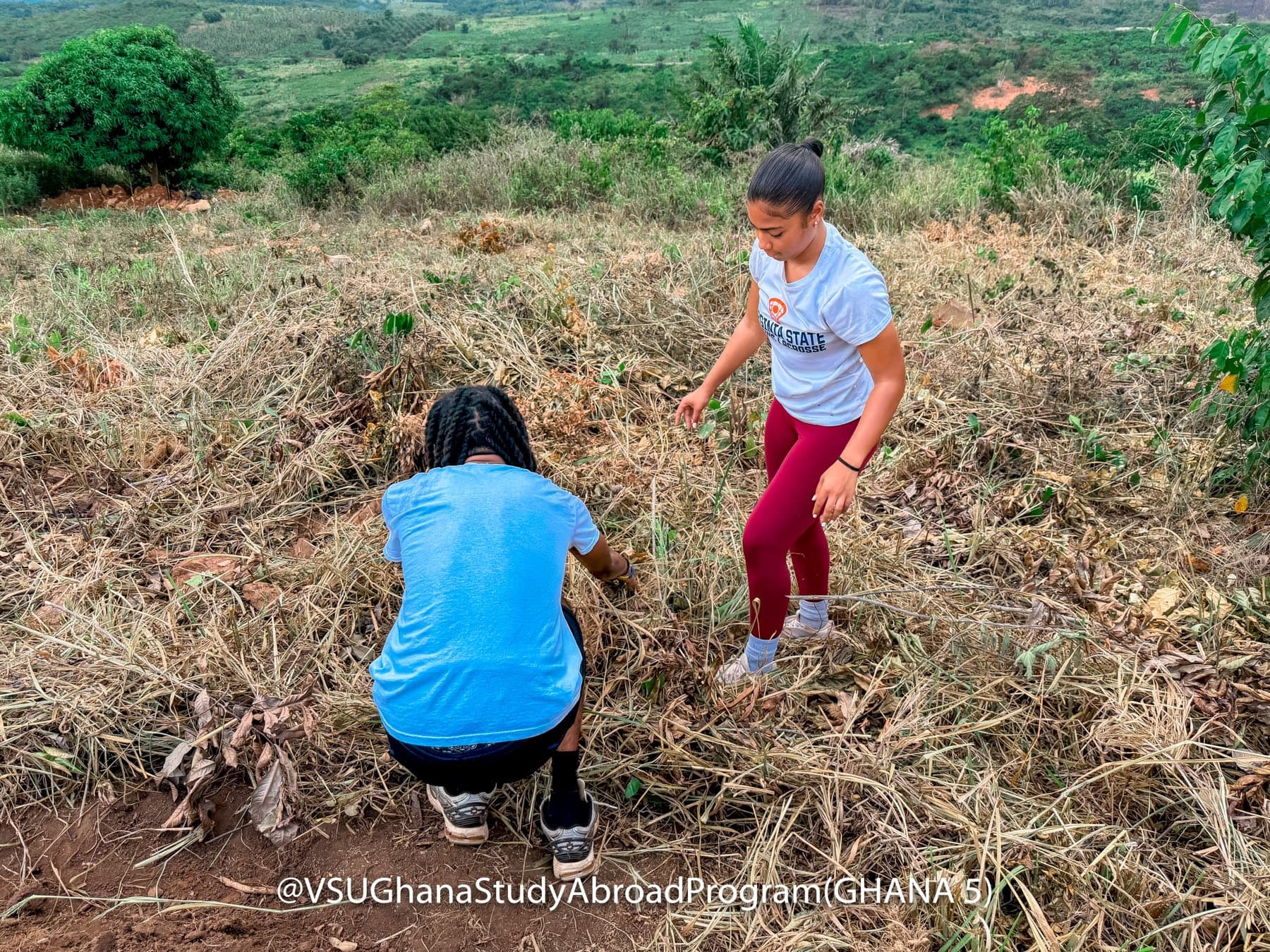 Students clearing land on a hillside during a community project in Ghana